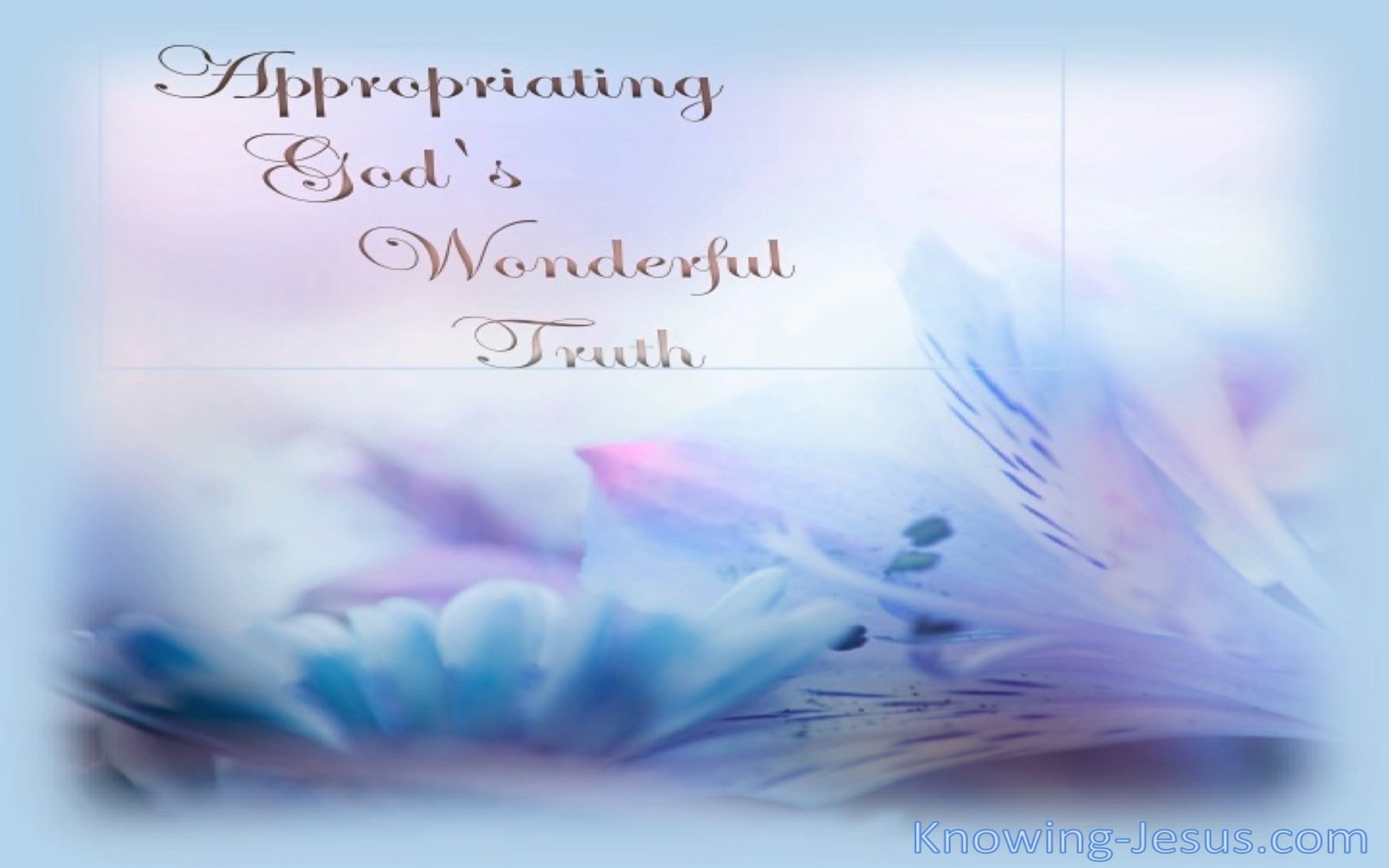 Appropriating God's Wonderful Truth (devotional)11-24 (blue)